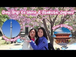 Japan Travel Vlog 2023 - Day 2 in Ueno Park, Asakusa, Senso-ji Temple, Tokyo Skytree | Nash & Nish