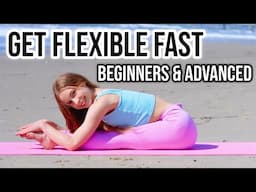 20 min Full Body Stretch for Flexibility