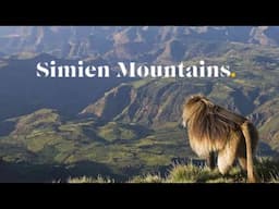 The Simien Mountains | Ethiopian Wolf | Gelada Monkey | Bearded Vulture