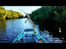 Exploring New Waters In the Florida Everglades | Tarpon, Gouper, Snook