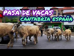 Pasa de Vacas en Puentenansa, Rionansa, Cantabria, Spain