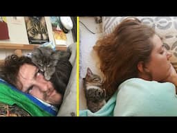 People Are Sharing Pics Of Their Cats Sleeping And The Pics Will Surely Brighten Your Day