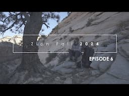 Photographing Zion, Fall 2024: Episode 6