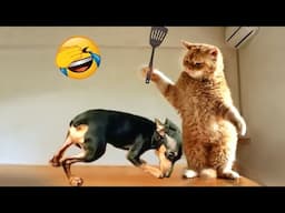 Funniest Animal Moments 2023 😂 Funniest Cats and Dogs 😺🐶 Ep 106 | Funny Pet