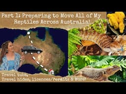 Part 1: Moving all of My Reptiles Across Australia... Creating travel tubs, hides & licence/permit