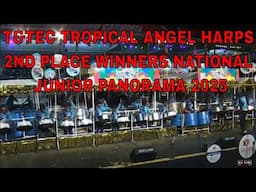 T&TEC Tropical Angel Harps How Ah Livin' National Junior Panorama Finals Trinidad Carnival 2025