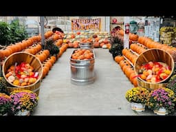 Inside California Home Depot Pumpkin Patch | Cali Que Em