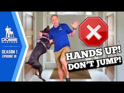 Stop Doberman Jumping with the "Hands Up" Trick | Dobie Masters - S1E10