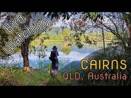 Bird Watching around Cairns, Australia