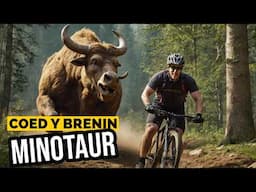 The Minotaur Trail at Coed Y Brenin