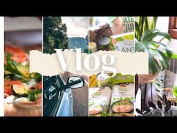 Vlog: Spend the day with me! New plant | cooking | grocery haul | cleaning...