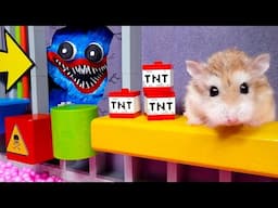 HAMSTER escapes Lego MINECRAFT Pop It MAZE - Lego Minecraft hamster story #hamster #maze #minecraft