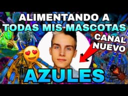 My Second Channel for Videos in Spanish!