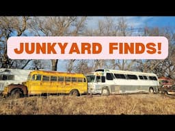 Yard Report: Junkyard Trip with Joe! Exploring ACRES of 1950s, 60s 70s 80s Cars, Trucks & Equipment!