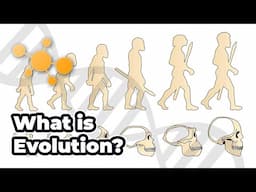 What Is Evolution?