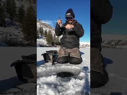 Had to get out of the office #icefishing #trout  #fishing