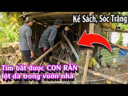 Tìm được chính xác CON RẮN lột da trong vườn | TGSB #1075