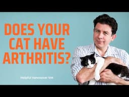 Does your cat have arthritis?