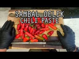 Woo Can Cook | Fermented Chili Sauce (Sambal Oelek) #food #cooking #recipe #chinesefood