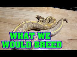 If we were breeding.....what would we pair???