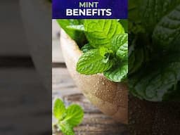 Mint benefits for diabetics #mint #mintfordiabetics