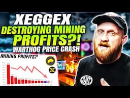 XEGGEX HACK?! WARTHOG MINERS LOSING MONEY – HERE’S WHY!