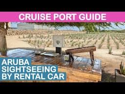 Aruba (Oranjestad) Cruise Port Guide: Sightseeing by Rental Car