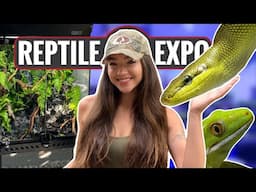 Competing in a Terrarium Build-off at The BIGGEST Reptile Expo in Canada!