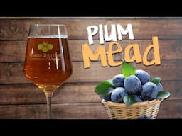 Very Tasty Plum Mead Recipe for Homebrewers!