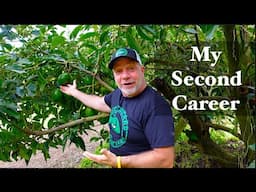 My Transition From Corporate VP to Avocado Farmer