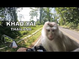 EXPLORING THAILANDS OLDEST NATIONAL PARK ON A MOPED | KHAO YAI