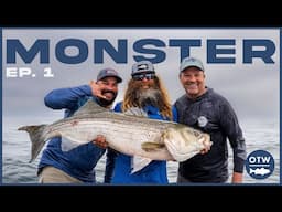 GIANT Striped Bass on Live Eels | S22 E01