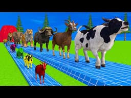 Paint & Animals Cow,Monkey,Pig,Rabbit,Tiger,Elephant Fountain Crossing Transformation Animal Cartoon