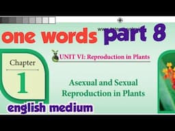 12th bio botany lesson 1| one words (part 8) | quick revision | english medium | asexual and sexual