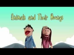 Science Song: Animals and their Youngs