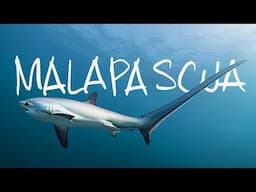 Malapascua: Island of the Thresher Shark // Life, Uncharted Ch. 03 [Documentary]