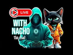 LIVE! Meet Nacho The Kat, the COOLEST Feline in Crypto!