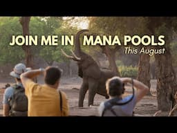 Join me on safari in MANA POOLS this August!