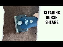 How to Clean Your Horse Shears