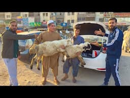 New car mein dumbey daal rahey hain 😳🐑 Gaari gandi hojaegi saari