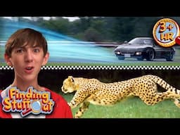 What Happens When a Ferrari RACES a Cheetah? | FULL EPISODES | Finding Stuff Out | 9 Story Fun