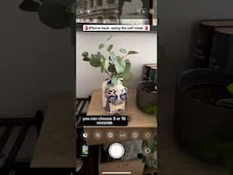 iPhone hack: how to use the self timer on iPhone #youtubeshorts #iphone #iphonehacks