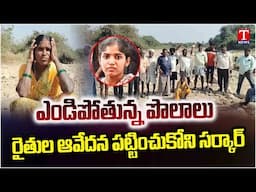 Farmers Protest Against Congress Govt & Revanth Reddy Over No Water Cultivation | T News