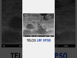 A hunter from Portugal, Costa Jorge, has witnessed Telos LRF XP50 in action. #pulsarvision