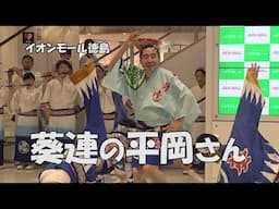 好きな人には堪らない「華純連（熊木さん）vs 葵連（平岡さん）」Awa Odori  - 阿波踊り (2024.12.3編集)