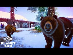 Adding Grizzly Bears to our Cosy Winter Zoo