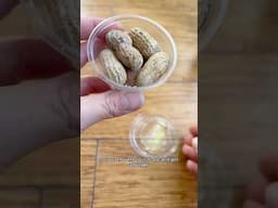 I Tried Growing Peanut Butter and FiveGuys Peanuts