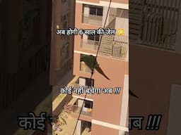 Parrot 🦜 paalne pe Hogi Jail 😱😳 #indianringneckparrot #talkingparrot #parrotlovers