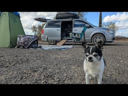 Y'all Exhausted Me 🤣 | Solo Camping in Quartzsite to Reflect On My YouTube Channel Meetup