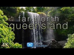 4K Far North Australia: Queensland Rainforests to Great Barrier Reef 1HR Nature Relaxation Film